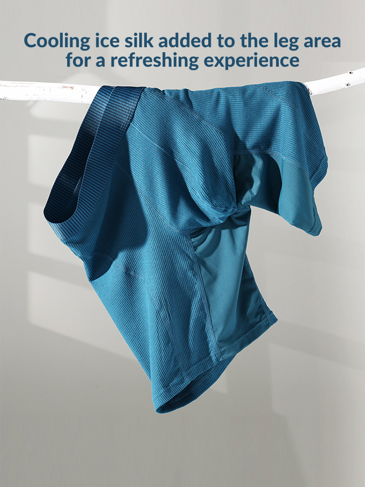 2 Pack Men's Casual Ice Silk Midway Briefs