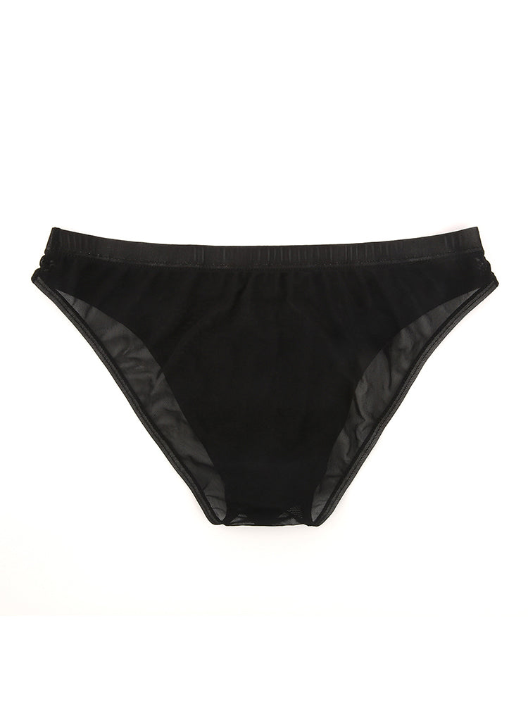 2 Pack Men's Seductive Mesh Sheer Briefs