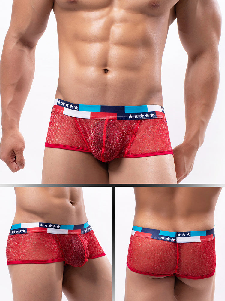 4-pack Men's Low-rise See-through Micro-mesh Pouch Shiny U-convex Wide-edge Boxer Briefs