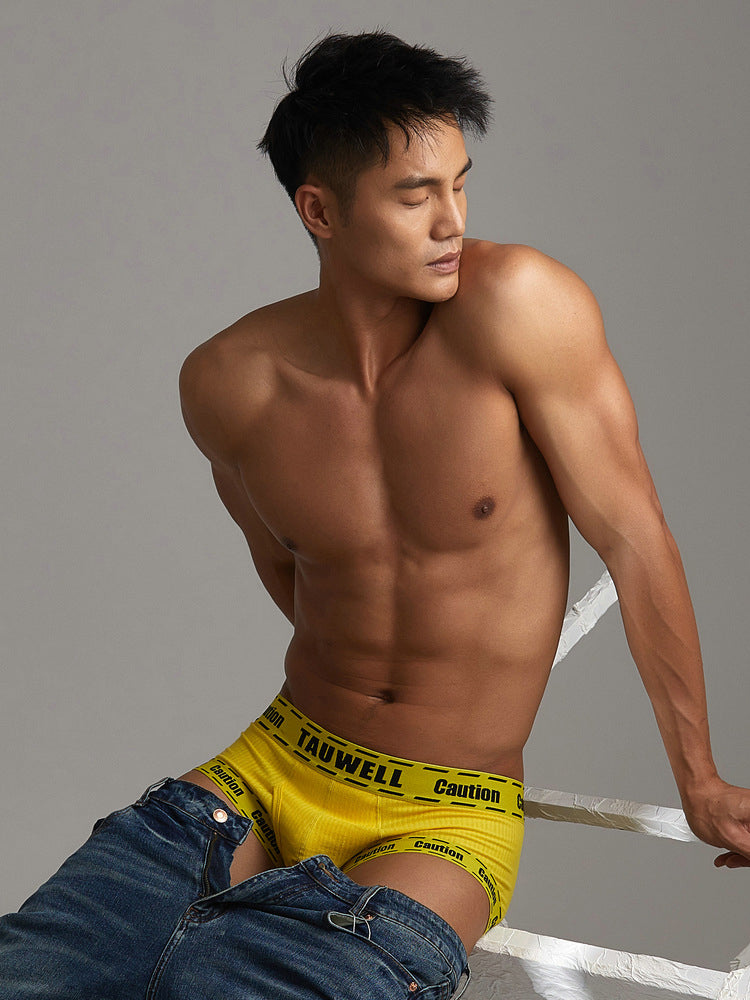 2 Pack Men's Supportive Pouch Low-Rise Trunks