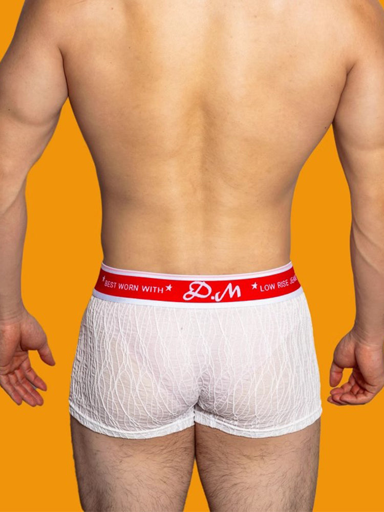 3 Pack Men's Lace Mesh Quick-Drying Breathable Solid Color Trunks