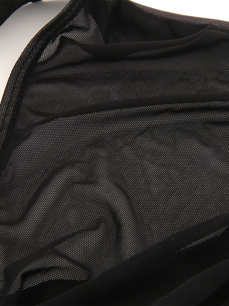 2 Pack Men's Seductive Mesh Sheer Briefs