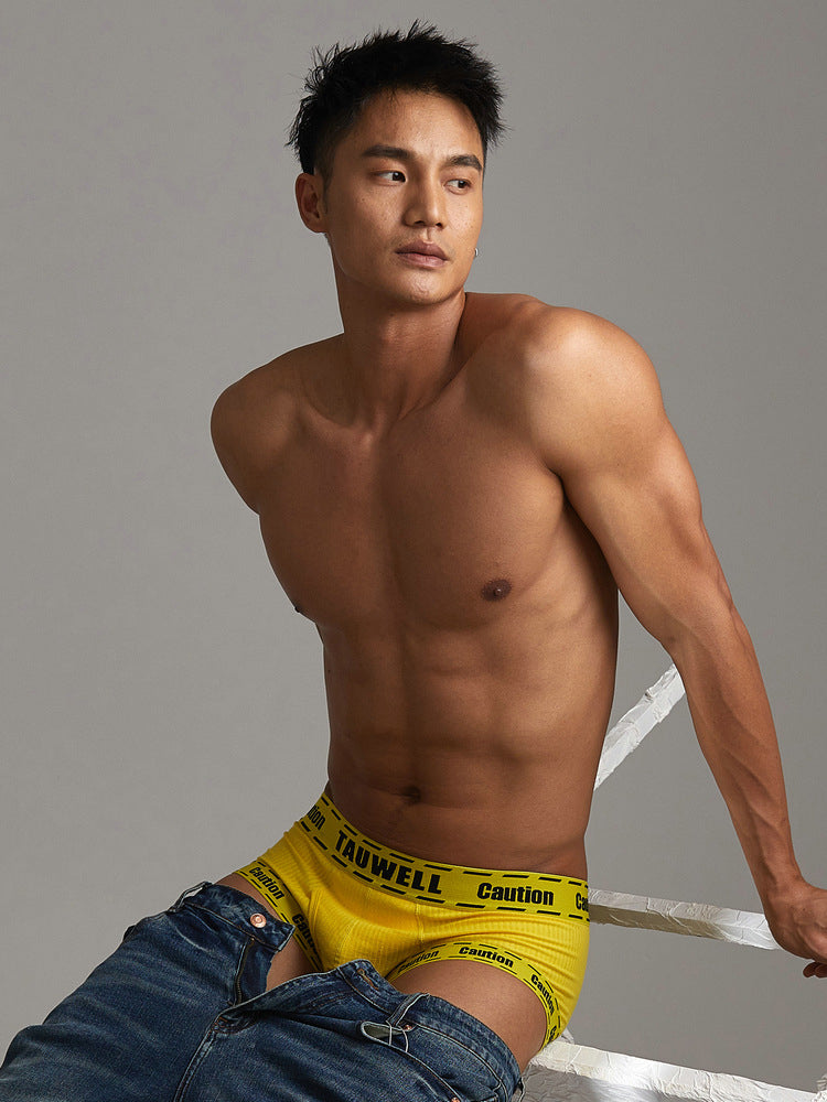 2 Pack Men's Supportive Pouch Low-Rise Trunks