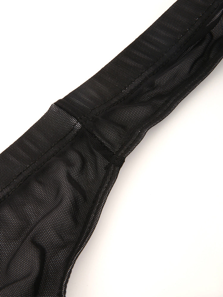 2 Pack Men's Seductive Mesh Sheer Briefs