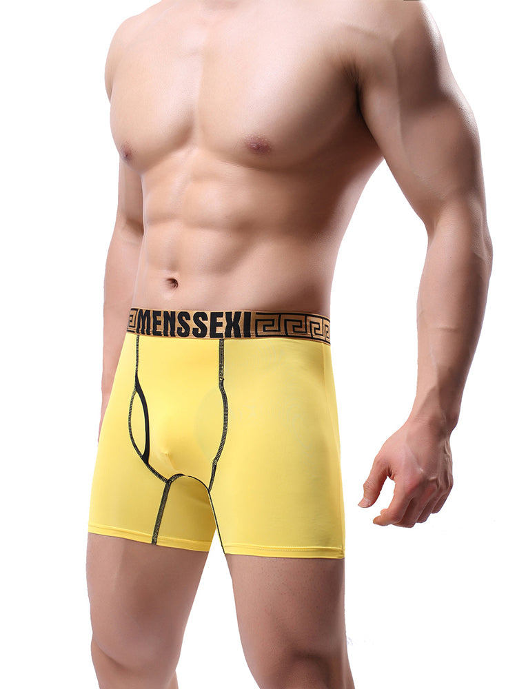 2 Pack Men's Sexy Sports Ice Silk Boxer Briefs