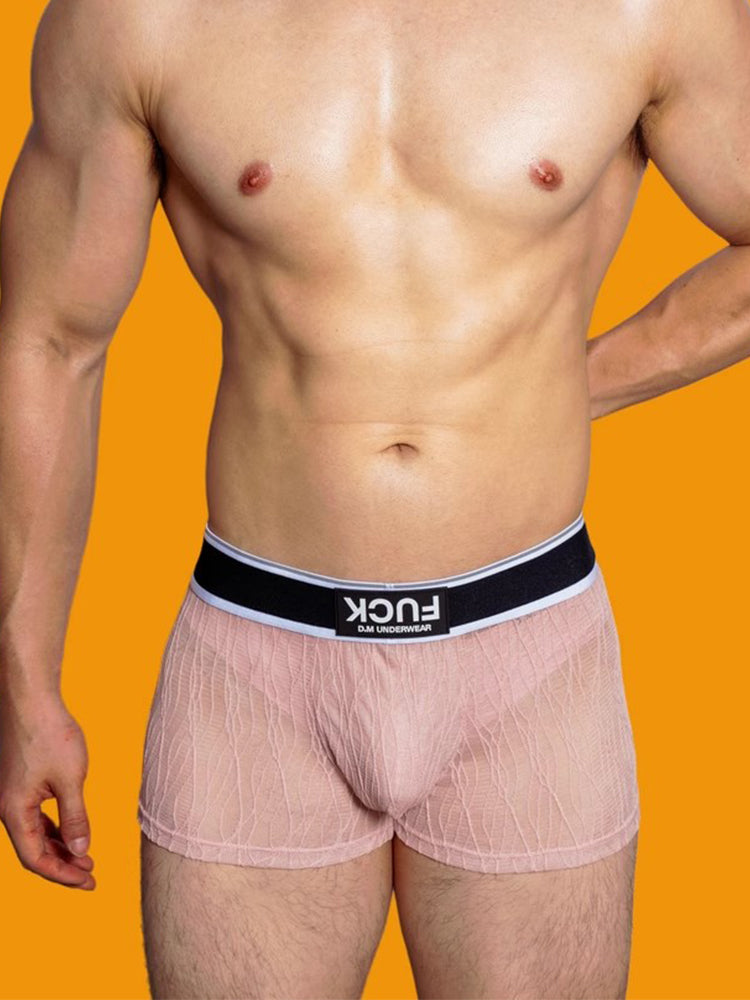 3 Pack Men's Lace Mesh Quick-Drying Breathable Solid Color Trunks