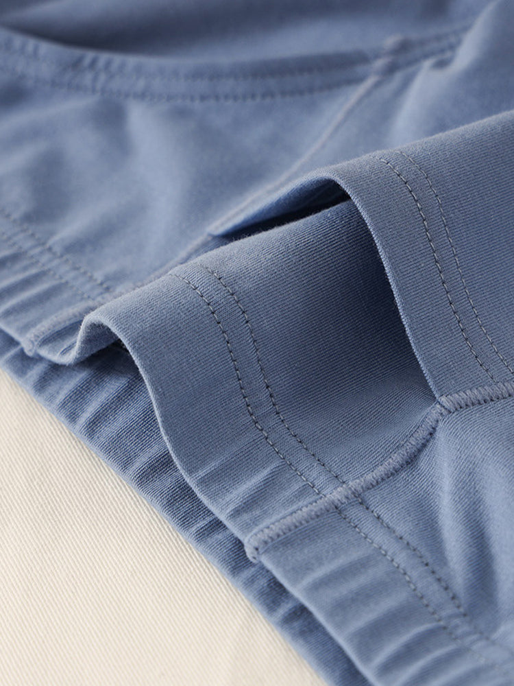 3 Pack Men's Sexy Mesh Breathable Gun Egg Separation Cotton Briefs