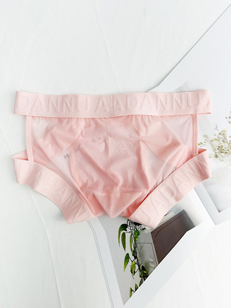 Men's Sheer Double Strap Sexy Bikini