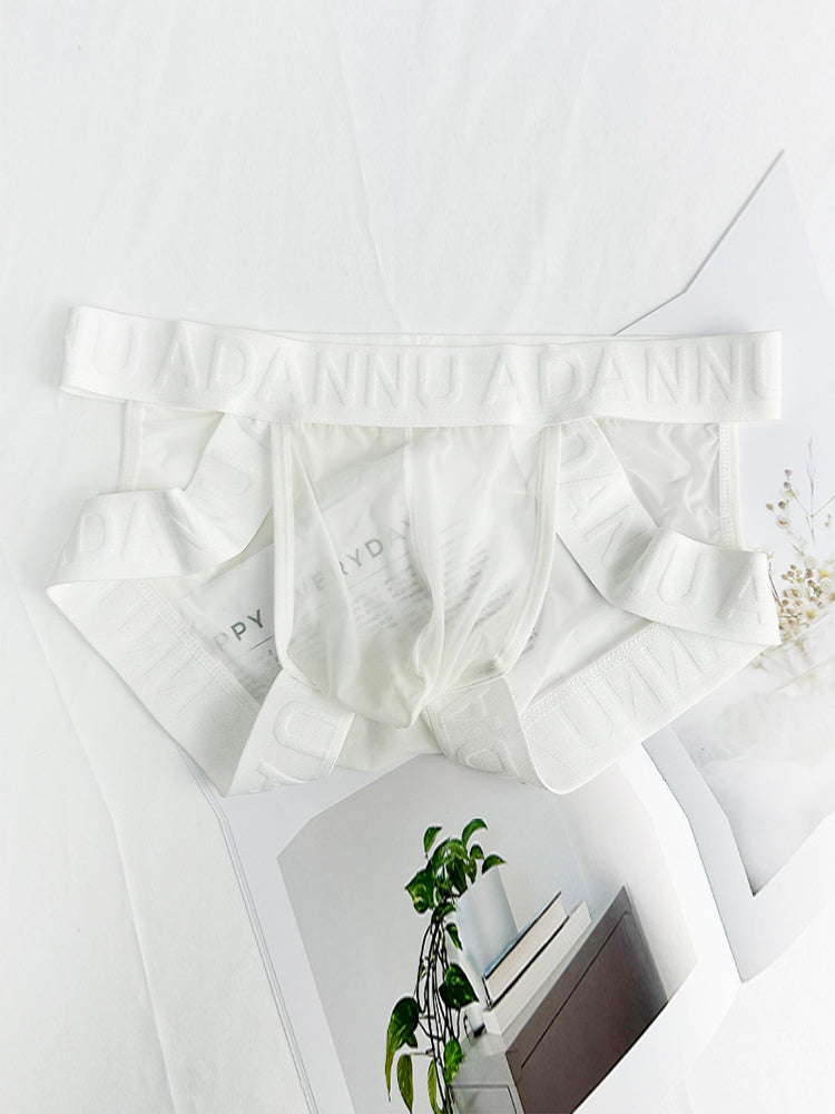 Men's Sheer Double Strap Sexy Bikini