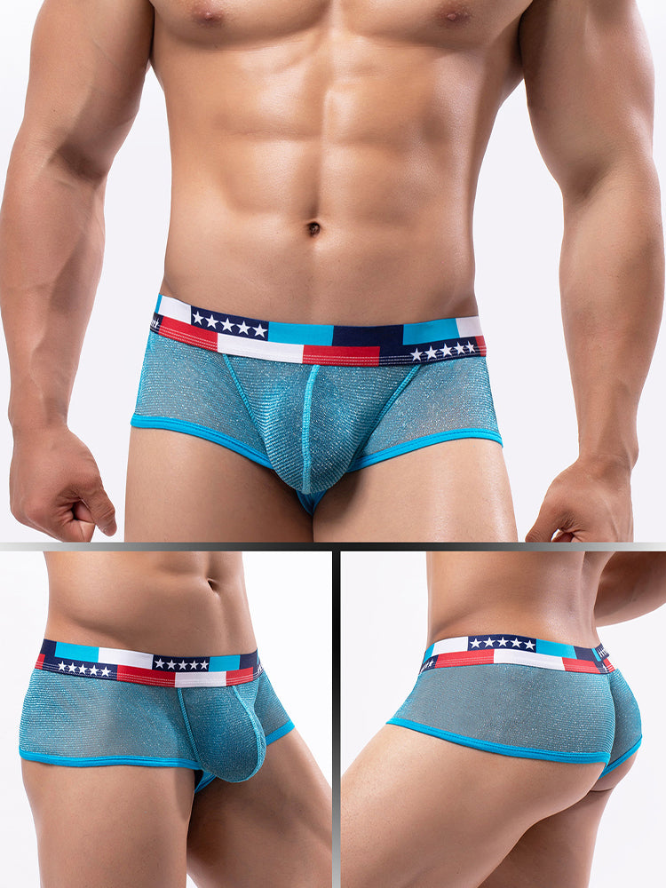 4-pack Men's Low-rise See-through Micro-mesh Pouch Shiny U-convex Wide-edge Boxer Briefs