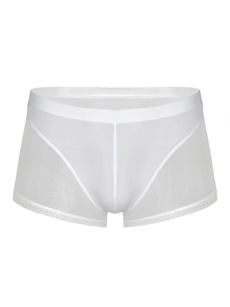 Sexy Panelled Mesh Trunks For Men