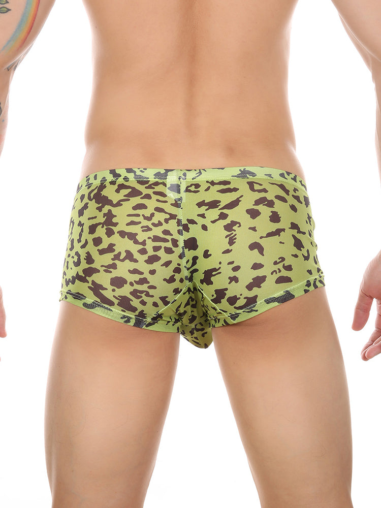 4 Pack Leopard Print See-through Mesh Trunks
