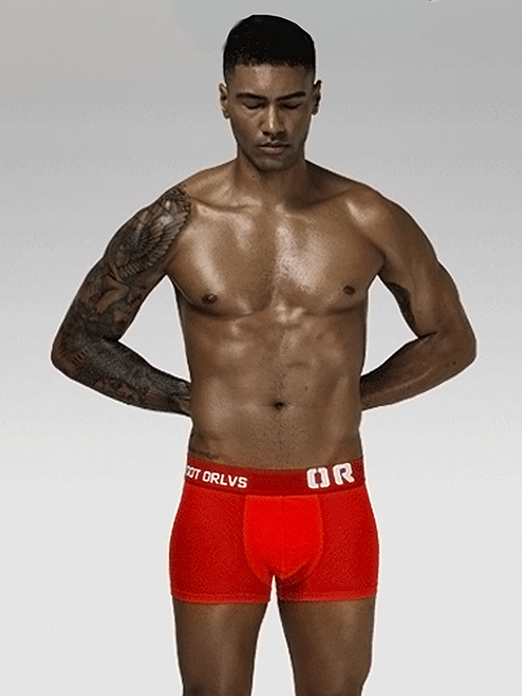 2 Pack Men's Sexy Transparent Seamless Mesh Solid Color Breathable Trunks & Bikini