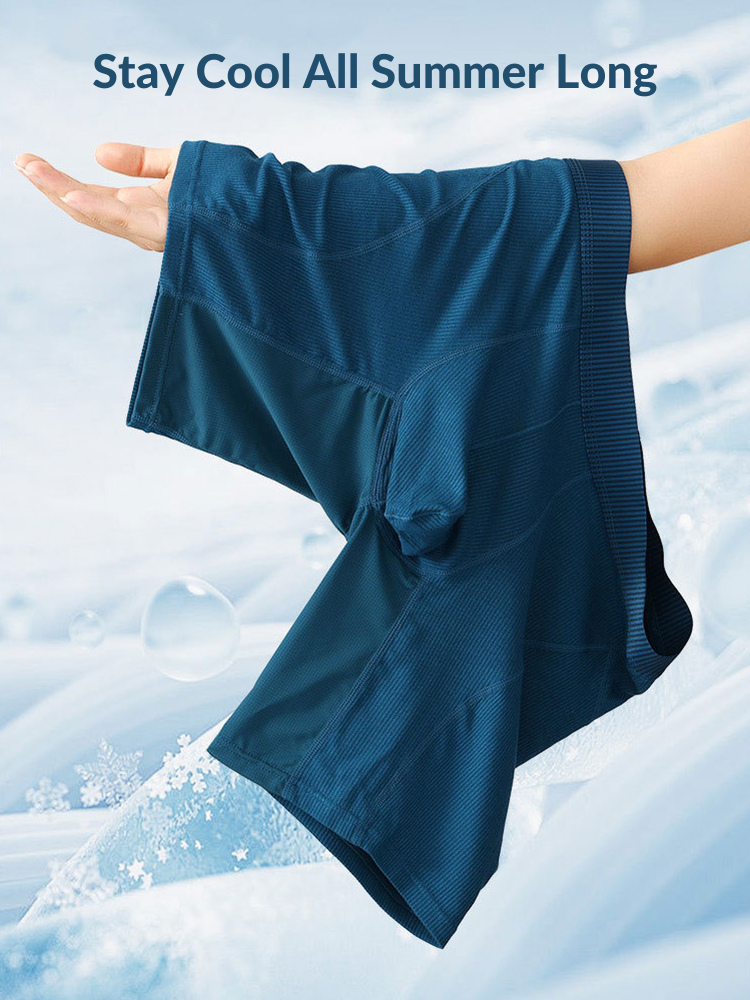 2 Pack Men's Casual Ice Silk Midway Briefs