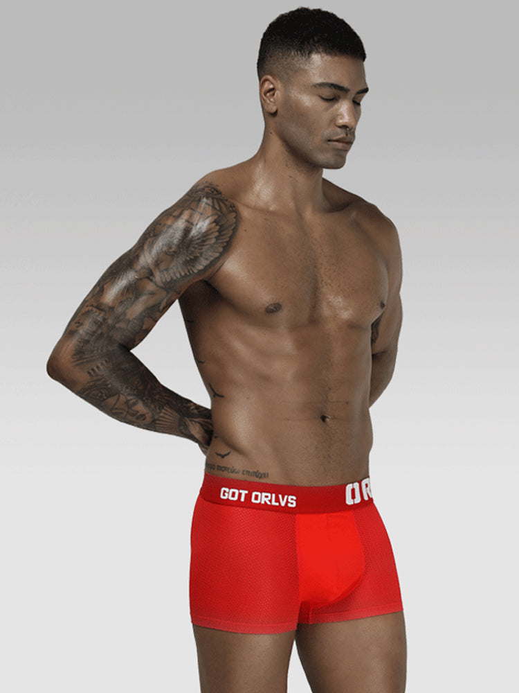 2 Pack Men's Sexy Transparent Seamless Mesh Solid Color Breathable Trunks & Bikini