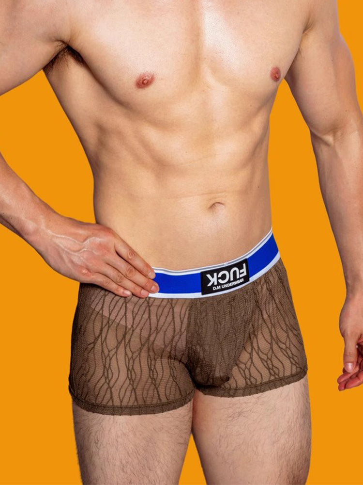 3 Pack Men's Lace Mesh Quick-Drying Breathable Solid Color Trunks