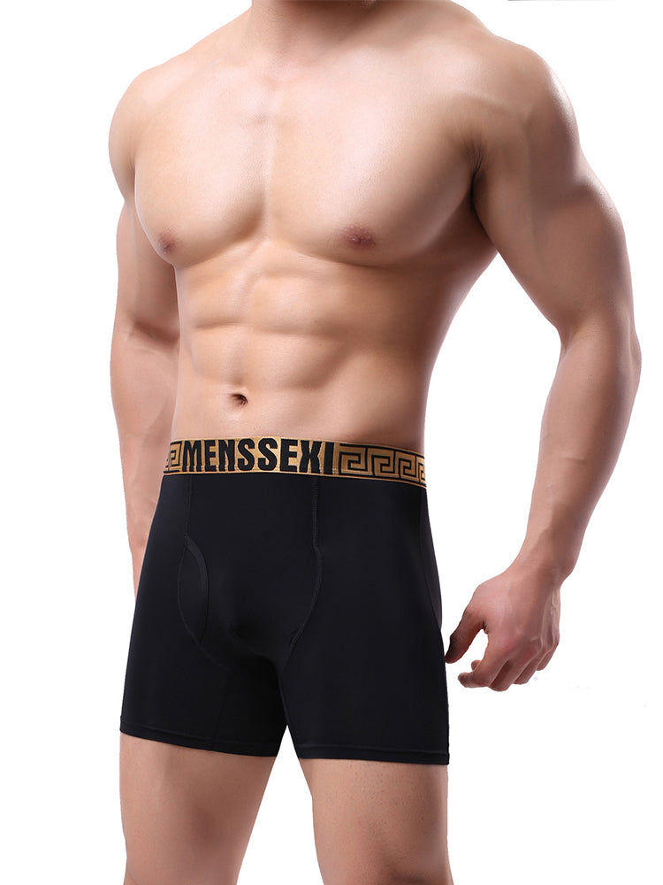 2 Pack Men's Sexy Sports Ice Silk Boxer Briefs