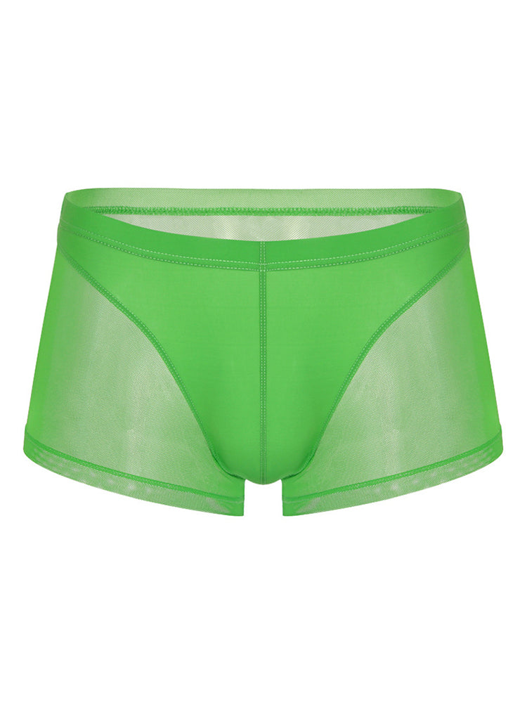 Sexy Panelled Mesh Trunks For Men