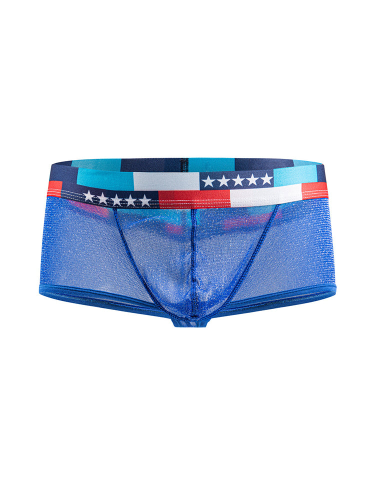 4-pack Men's Low-rise See-through Micro-mesh Pouch Shiny U-convex Wide-edge Boxer Briefs