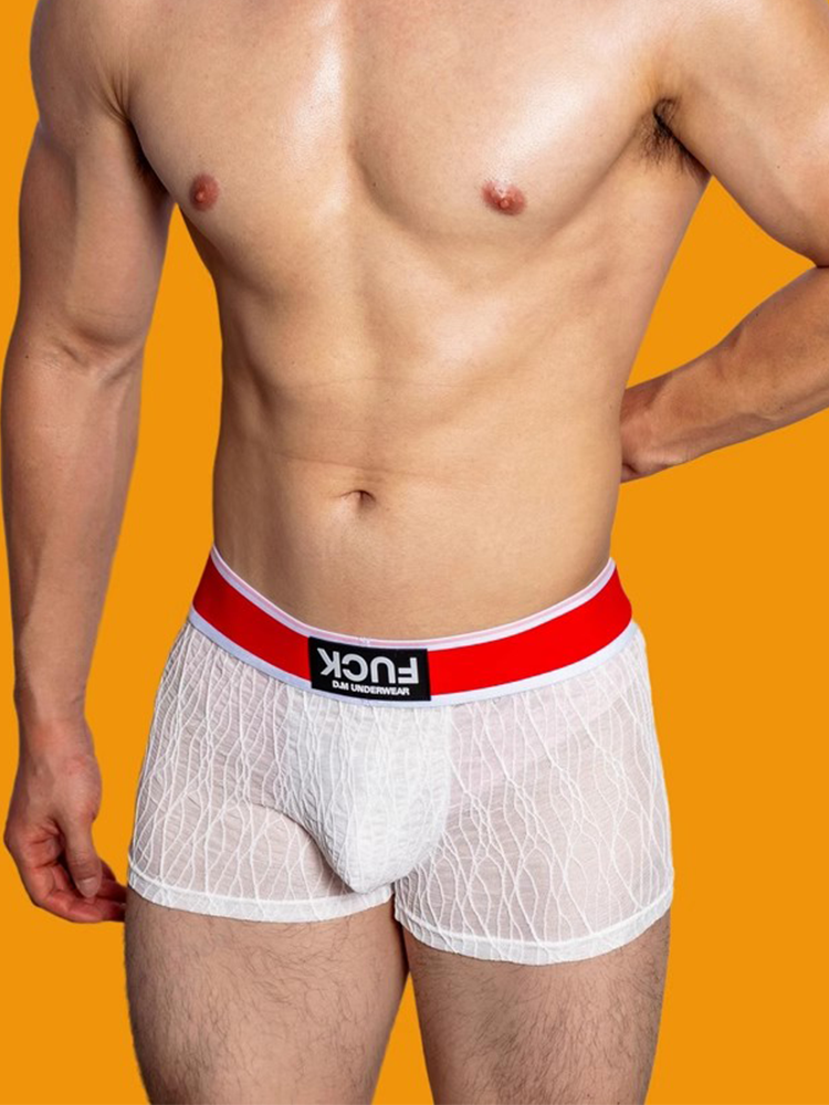 3 Pack Men's Lace Mesh Quick-Drying Breathable Solid Color Trunks
