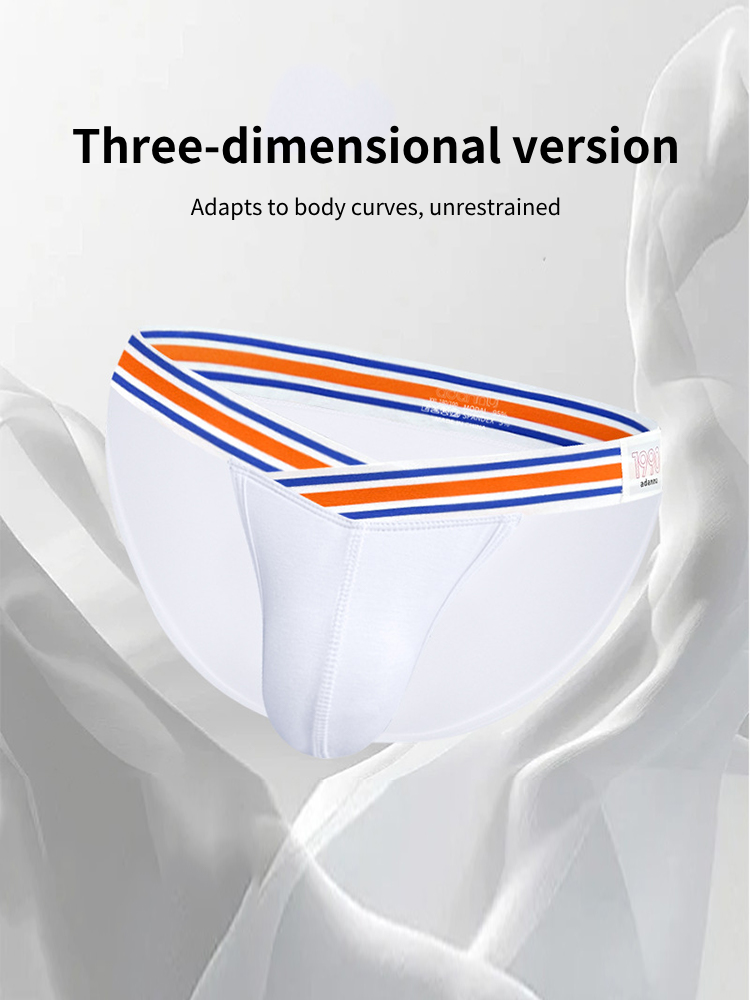 2-pack Men's Striped V-waist High-cut Briefs