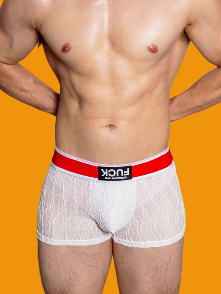 3 Pack Men's Lace Mesh Quick-Drying Breathable Solid Color Trunks