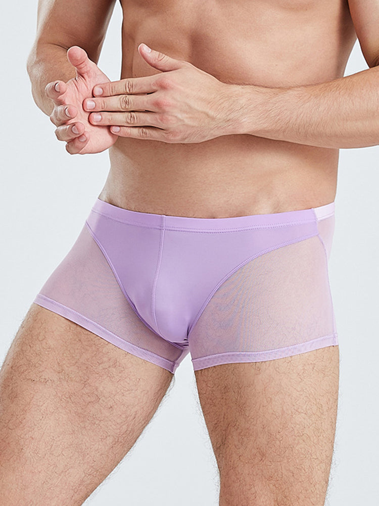 Sexy Panelled Mesh Trunks For Men