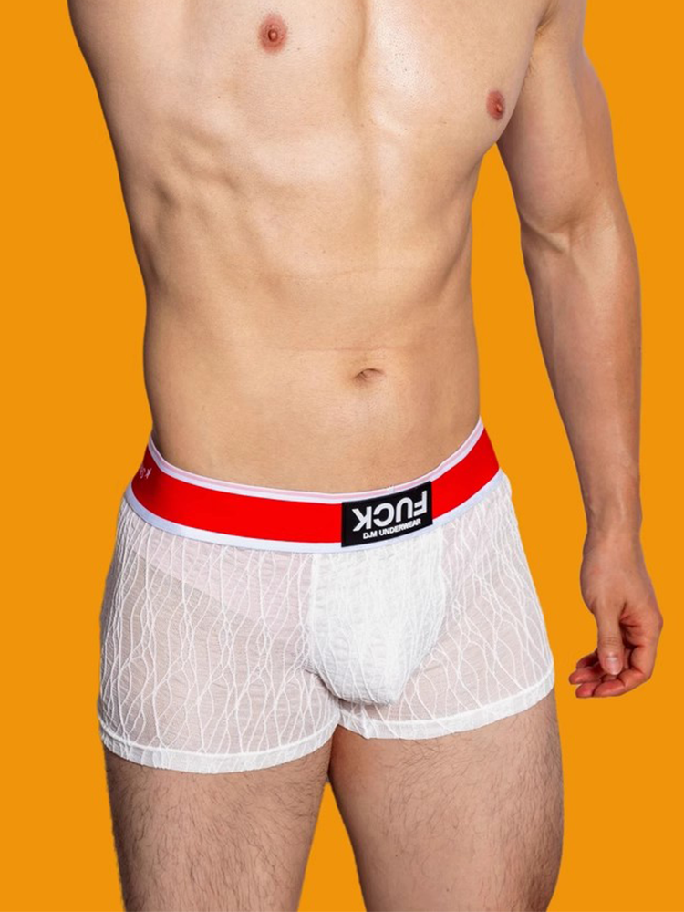 3 Pack Men's Lace Mesh Quick-Drying Breathable Solid Color Trunks