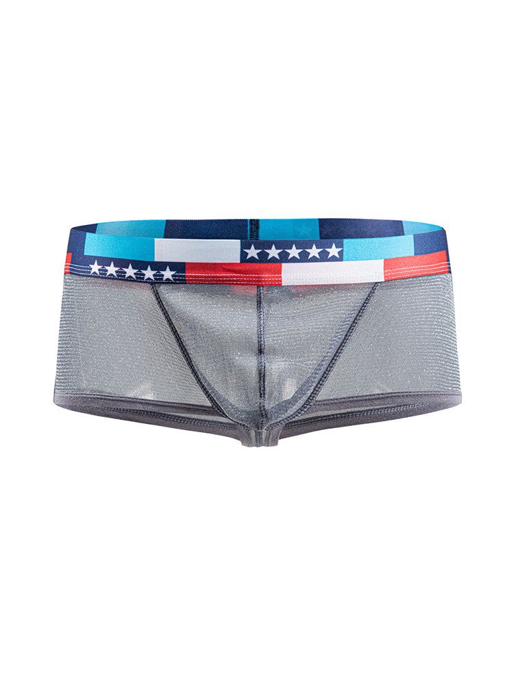 4-pack Men's Low-rise See-through Micro-mesh Pouch Shiny U-convex Wide-edge Boxer Briefs