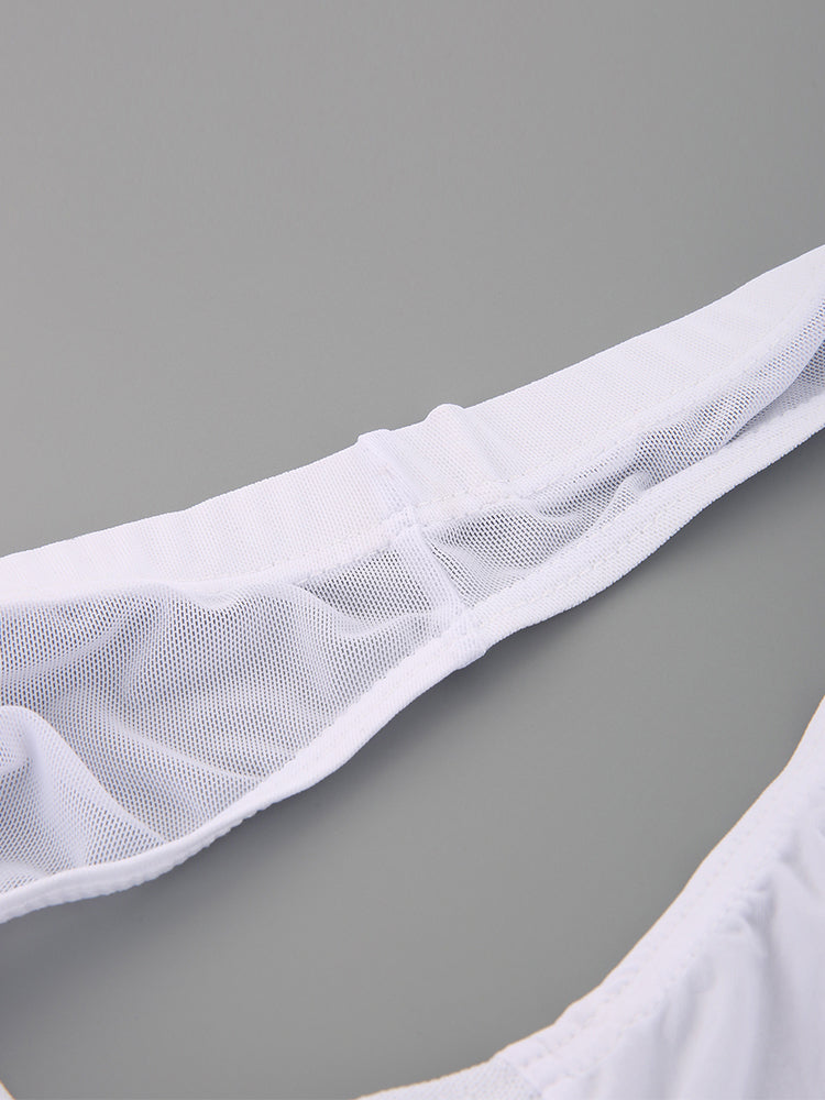 2 Pack Men's Seductive Mesh Sheer Briefs