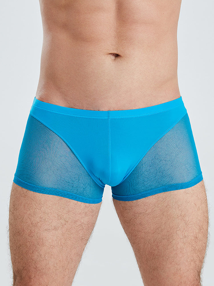 Sexy Panelled Mesh Trunks For Men