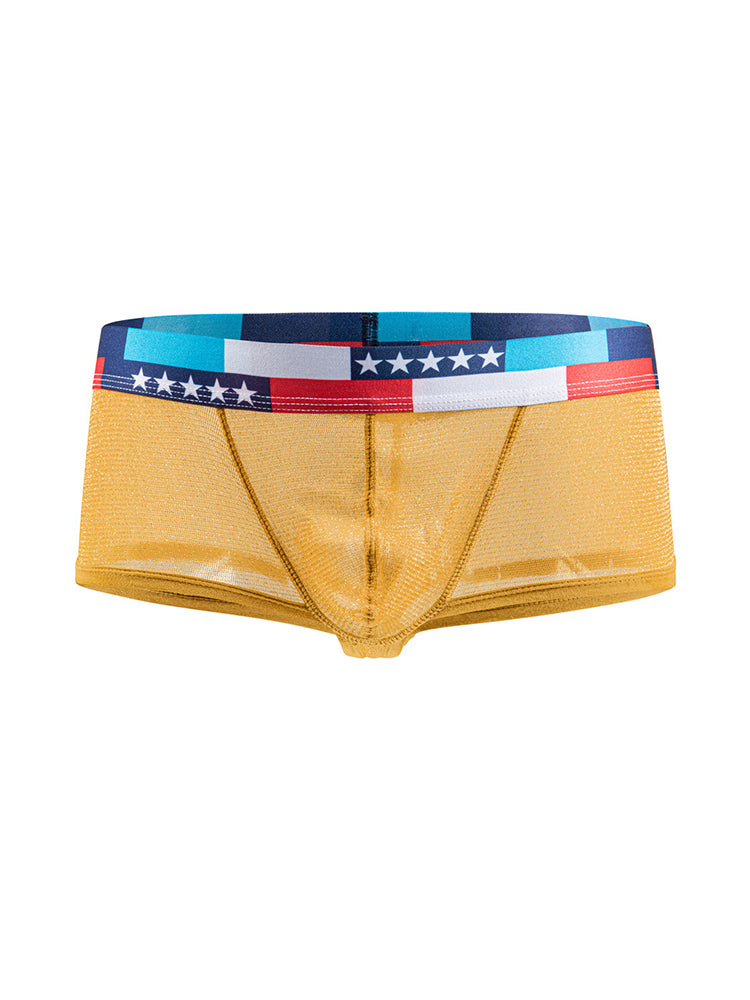 4-pack Men's Low-rise See-through Micro-mesh Pouch Shiny U-convex Wide-edge Boxer Briefs