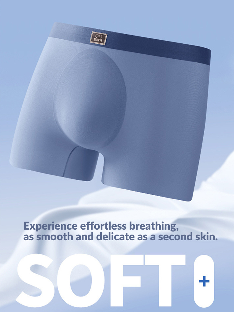 4 Pack Men's Seamless Antibacterial Boxers Briefs