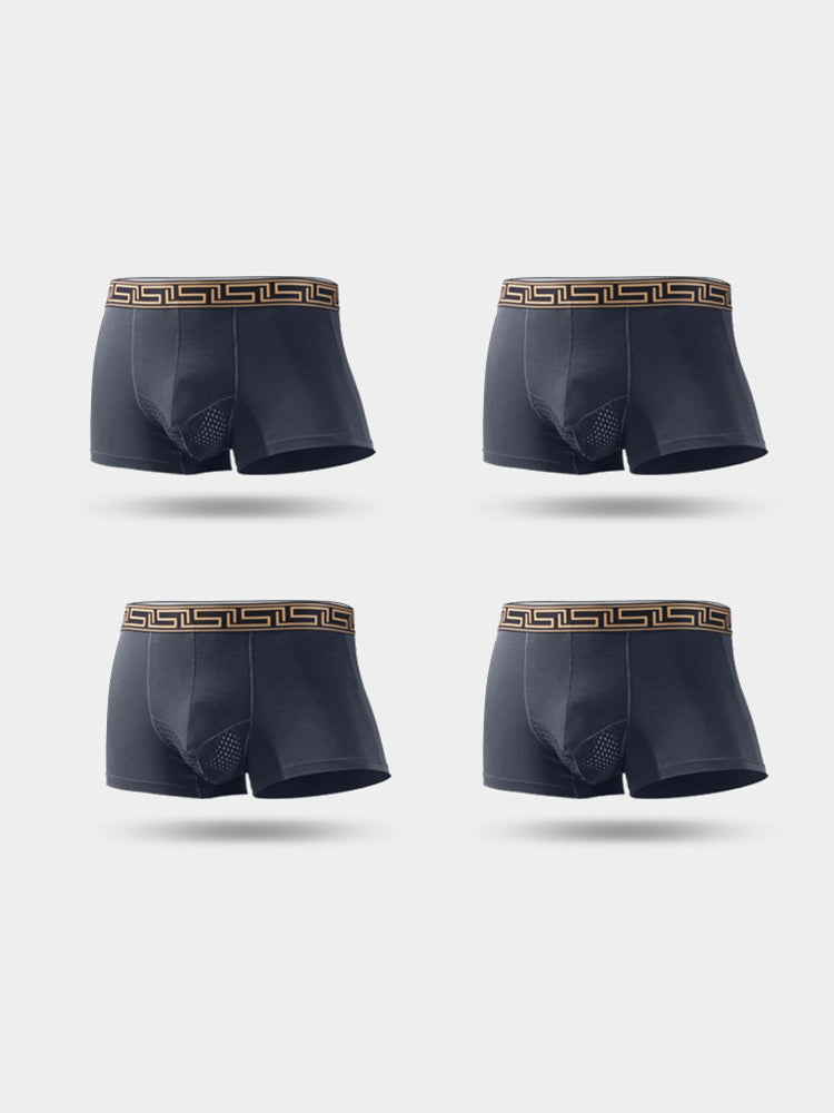 4 Pack Men's Athletic Mesh Pouch Trunks