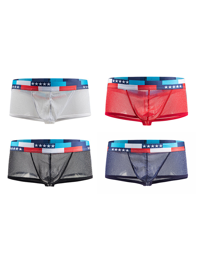 4-pack Men's Low-rise See-through Micro-mesh Pouch Shiny U-convex Wide-edge Boxer Briefs