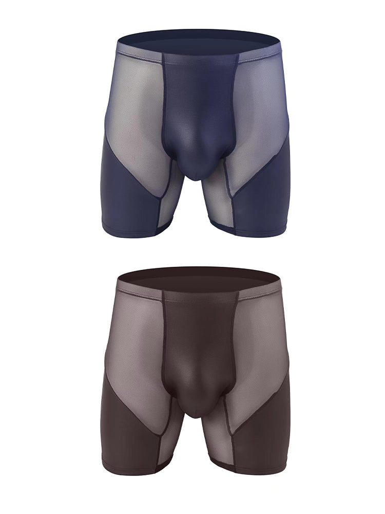 2 Pack Men's Casual Sports Transparent Mesh Midway Briefs