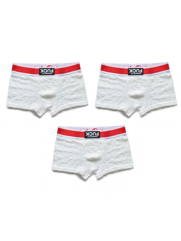 3 Pack Men's Lace Mesh Quick-Drying Breathable Solid Color Trunks