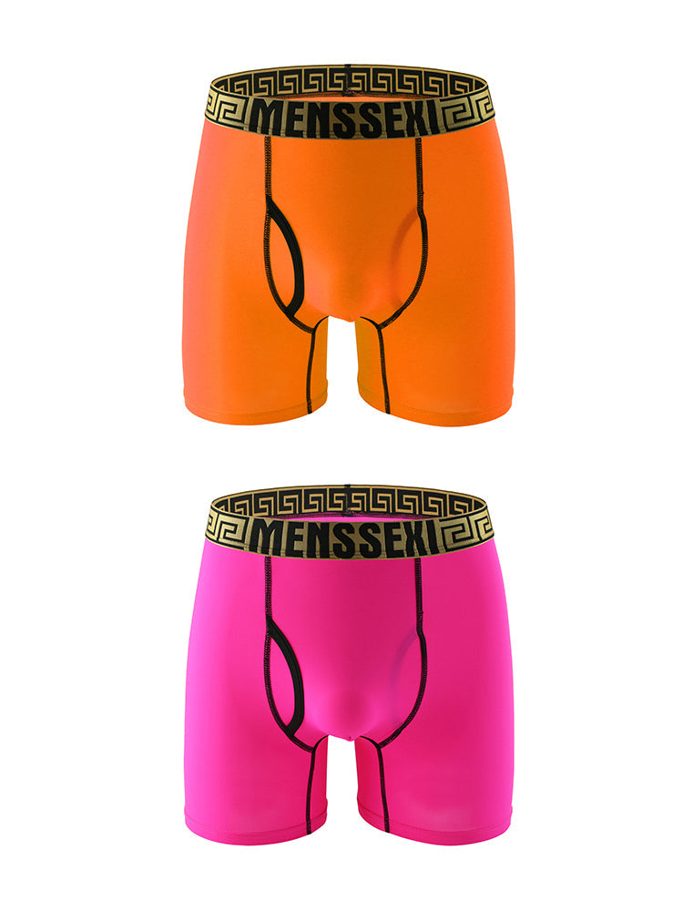 2 Pack Men's Sexy Sports Ice Silk Boxer Briefs