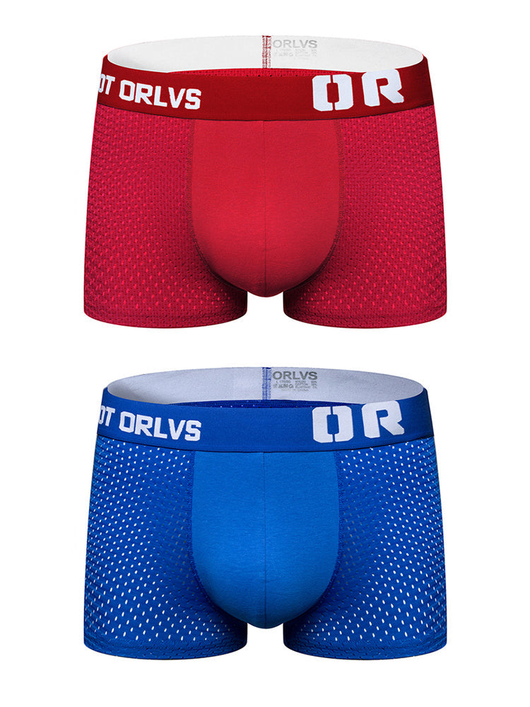 2 Pack Men's Sexy Transparent Seamless Mesh Solid Color Breathable Trunks & Bikini