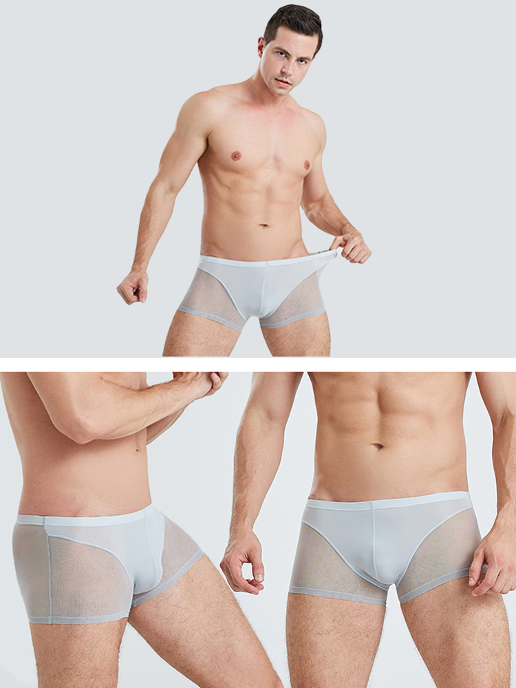 Sexy Panelled Mesh Trunks For Men