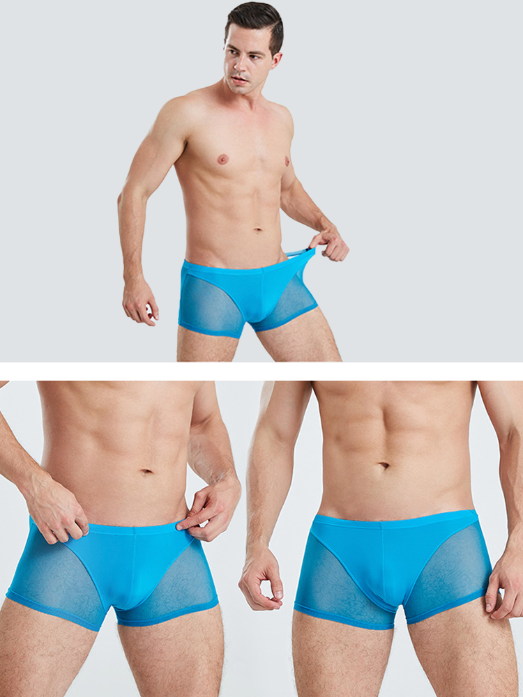 Sexy Panelled Mesh Trunks For Men