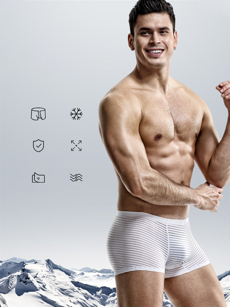 2 Pack Silk Striped Men's Super Thin Underwear