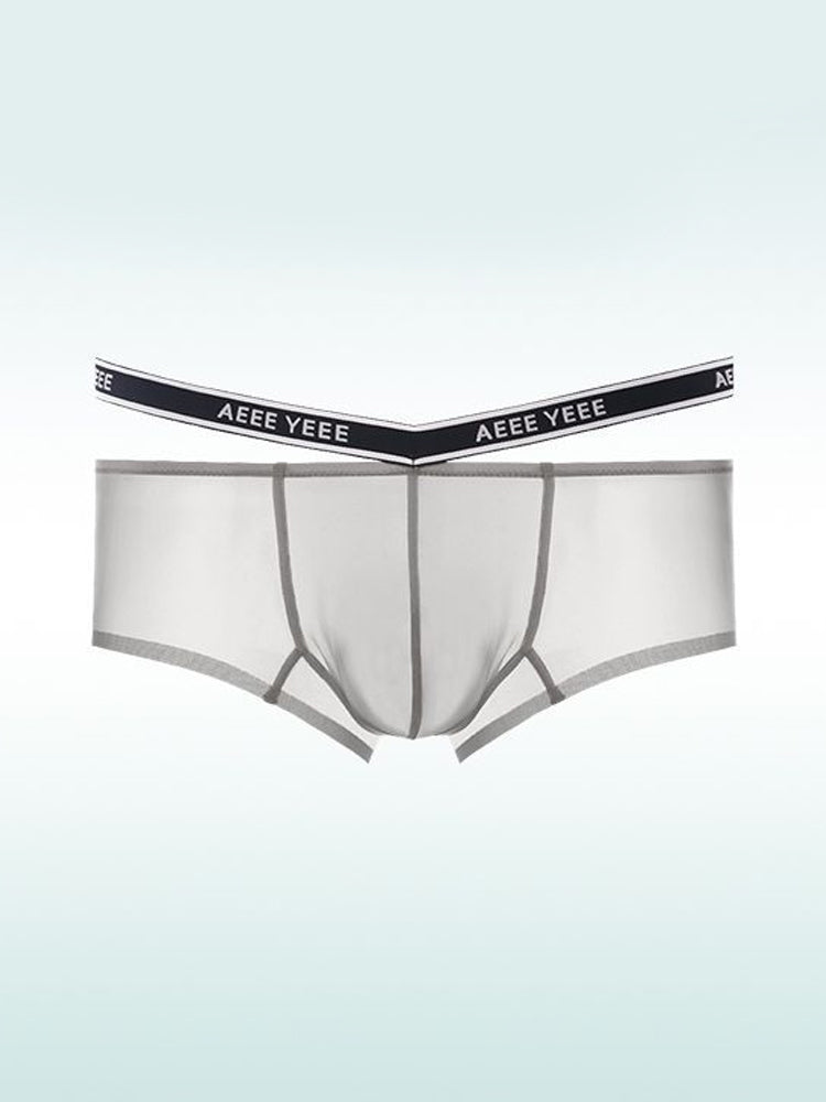 Men's Transparent Ice Silk Waistband Separate Briefs