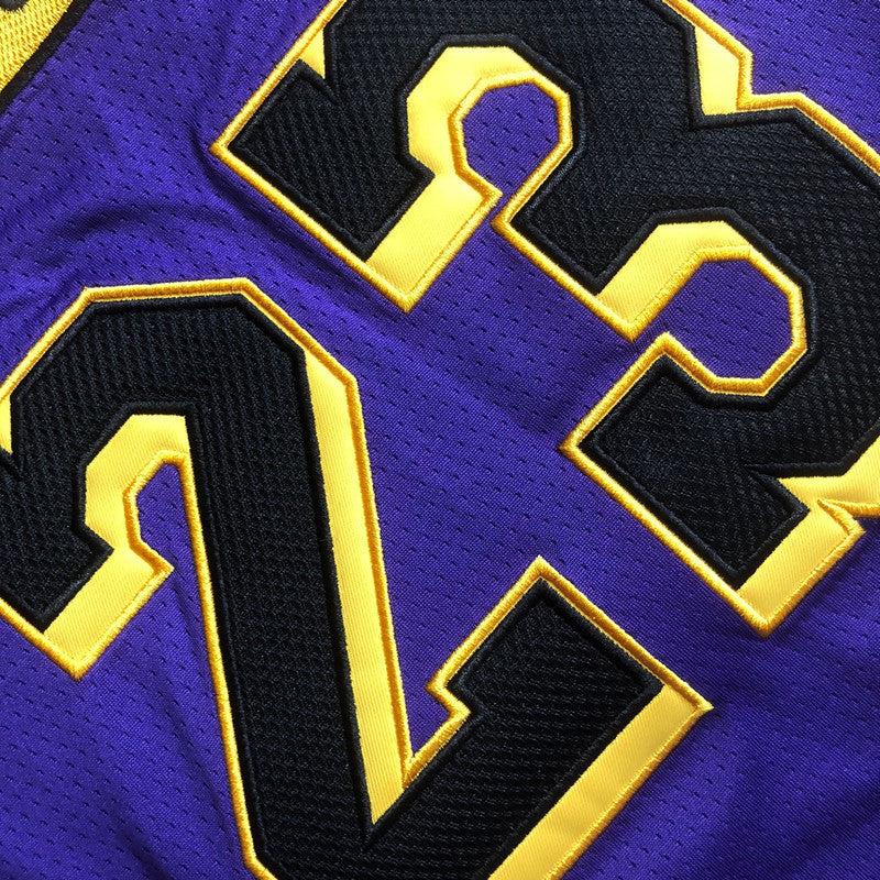 Men’s Los Angeles Lakers #23 James Purple Jersey