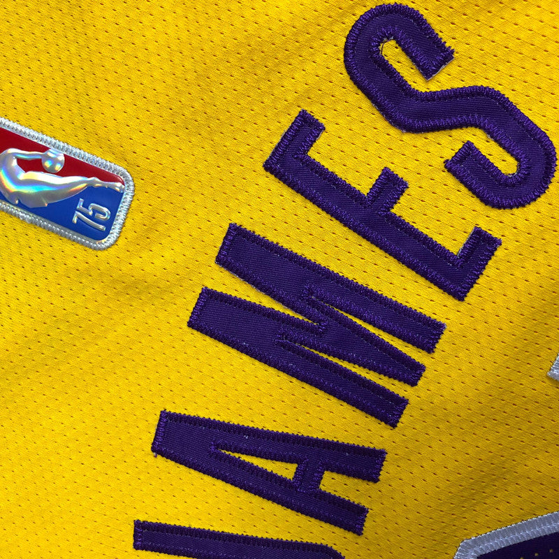 Men’s Los Angeles Lakers #23 James Player Edition Jersey