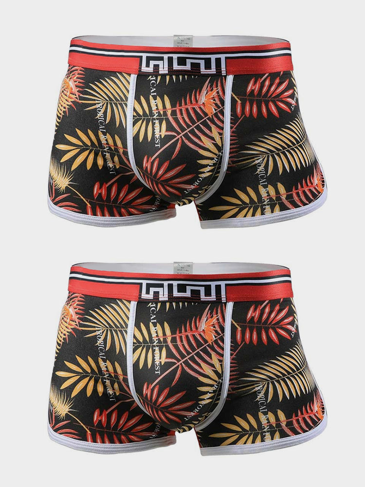 2 Pack Printed Vacation Men's Underwear