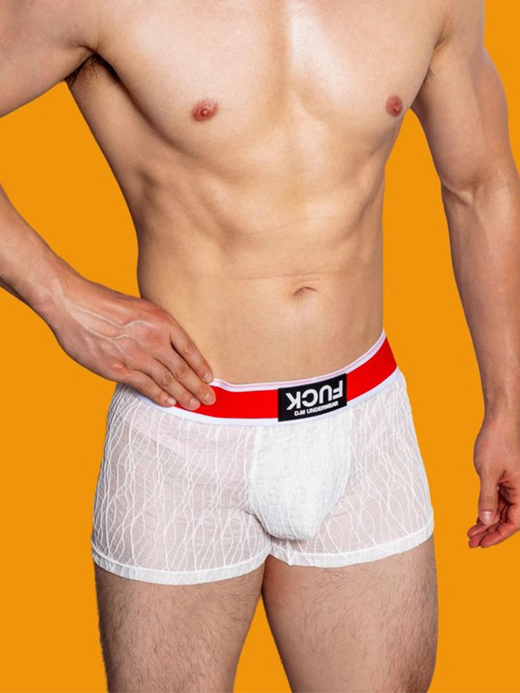 3 Pack Men's Lace Mesh Quick-Drying Breathable Solid Color Trunks