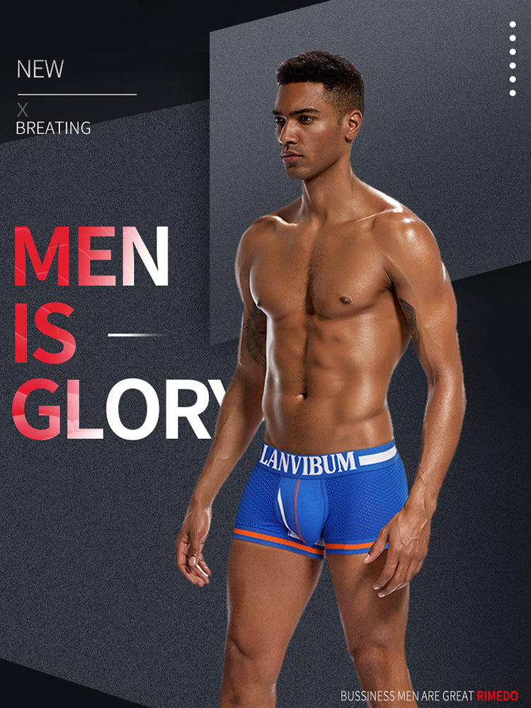 4 Pack Men's Mesh Breathable Quick-Dry Sexy Nylon Trunks