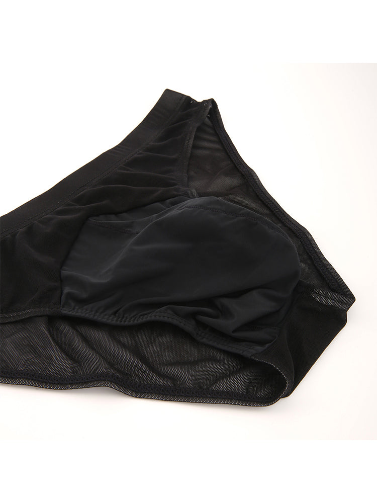 2 Pack Men's Seductive Mesh Sheer Briefs