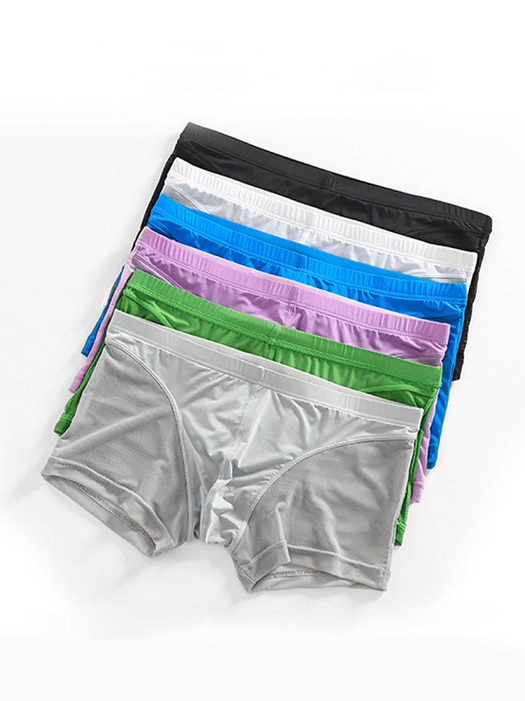 Sexy Panelled Mesh Trunks For Men